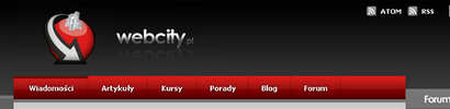 webcity2